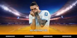 Phương pháp phân tích dữ liệu soi kèo phạt góc trực tuyến chuẩn
